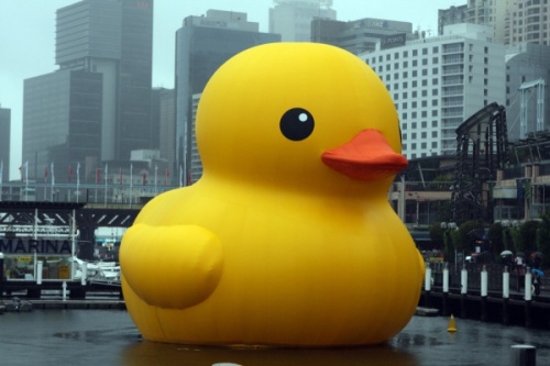 Rubber_Duck_(8374802487)